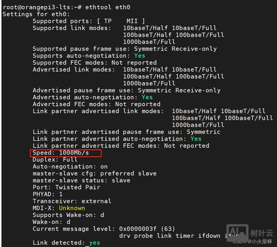 运行命令查看网络状态