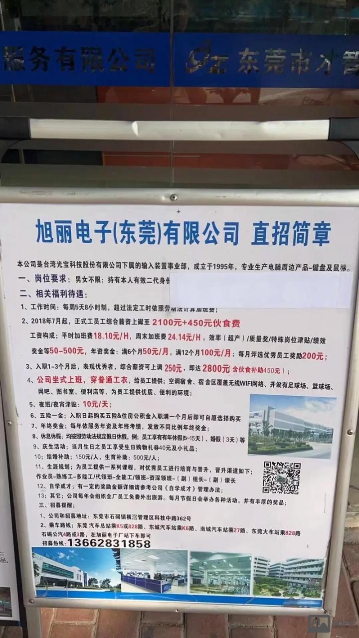 东莞证券交易所招聘