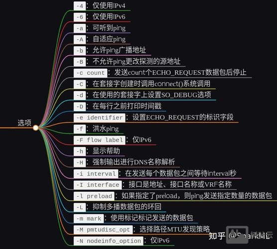 ping命令常用参数