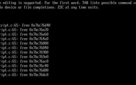 Debug基本命令有哪些核心指令？