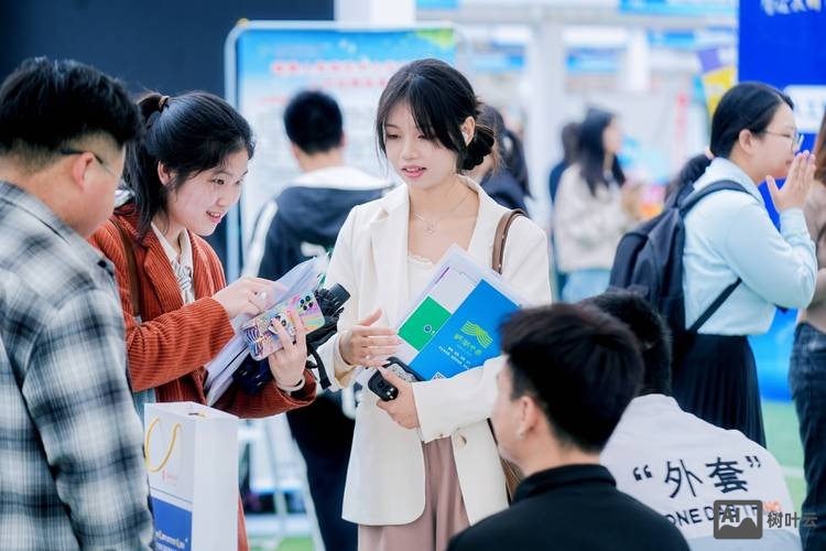 成都高新区it招聘会