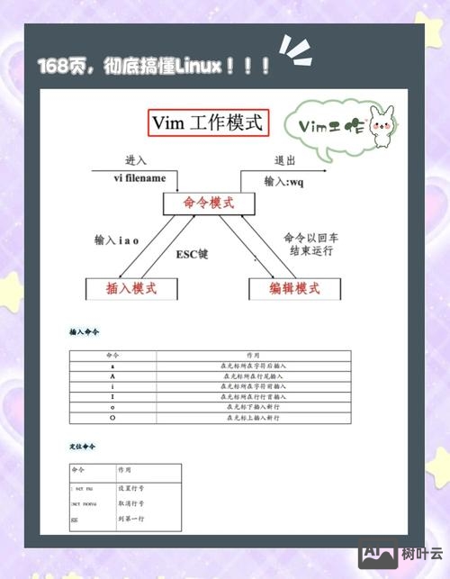 fsmo角色迁移 命令