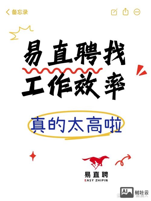 招聘的D轮是什么意思