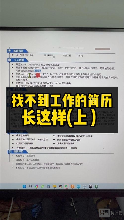 大连单片机工程师招聘