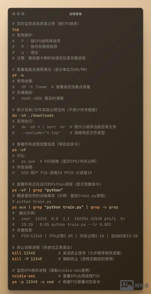 如何使用终端命令