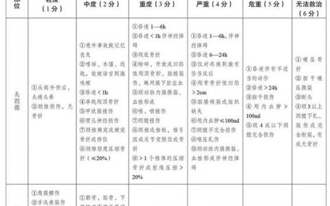 Iss评分如何快速记忆？