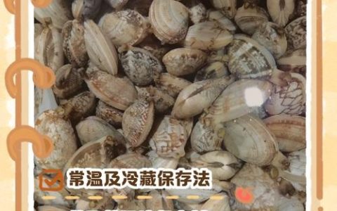 焯过水花甲怎么保存才新鲜？