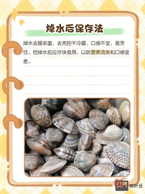 如何保存焯过水的花甲