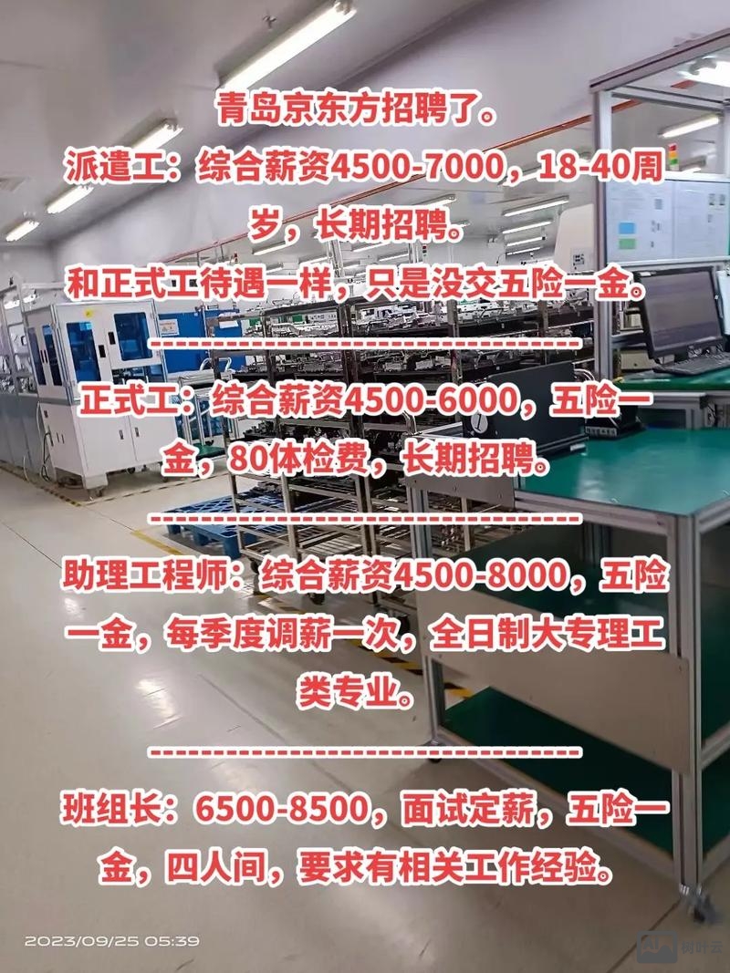 2017京东方八代招聘