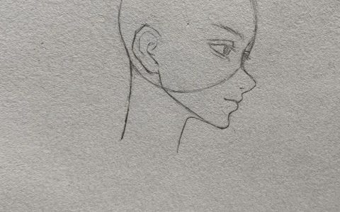 数字画侧脸，如何精准把握比例与线条？
