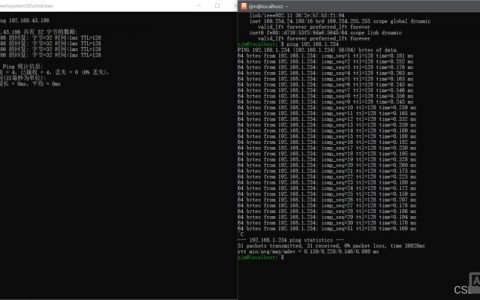 ping网站命令怎么用？