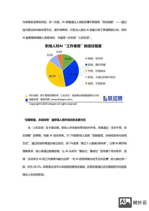 智联招聘上的工作描述