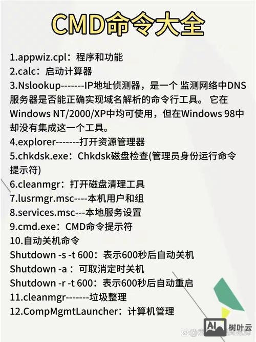 cmd 显示中文命令