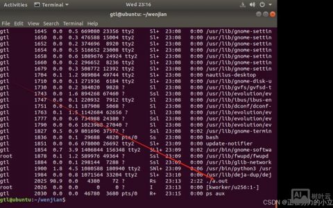 Unix查看进程命令有哪些常用选项？