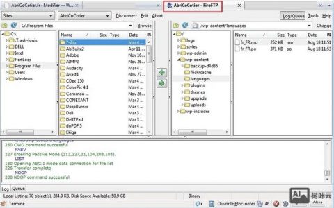 FTP命令如何复制文件？