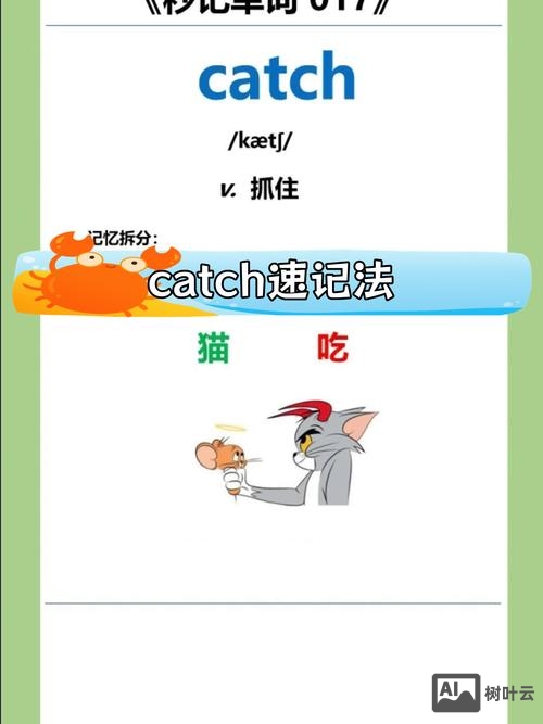 如何抓取英文关键词