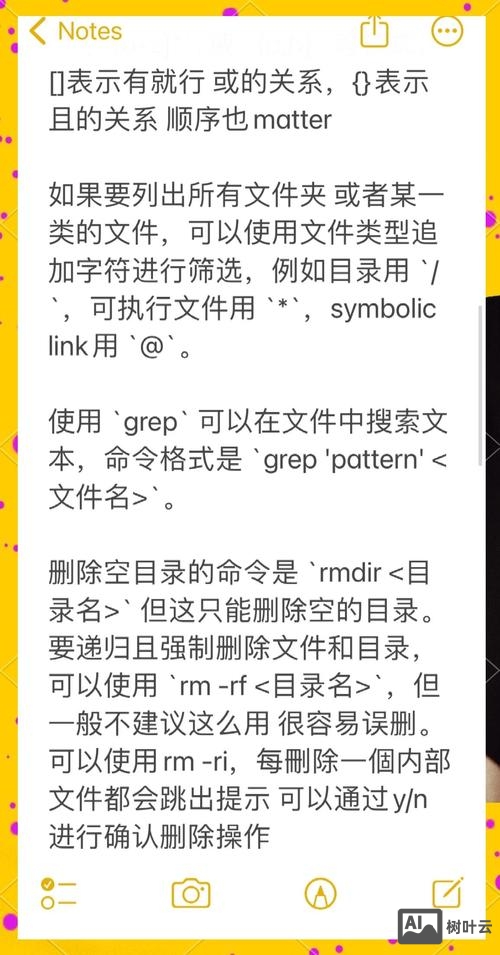 shell命令的作用