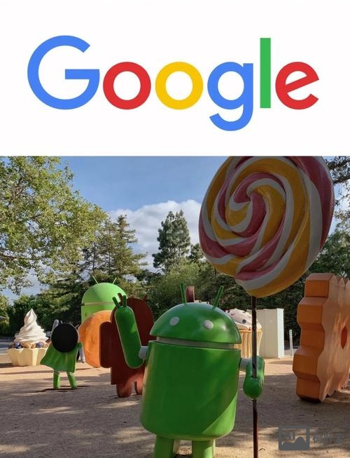 google命令行