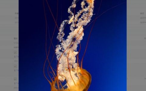 织梦如何调用CSS图片？