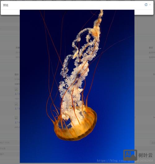 织梦如何调用css图片