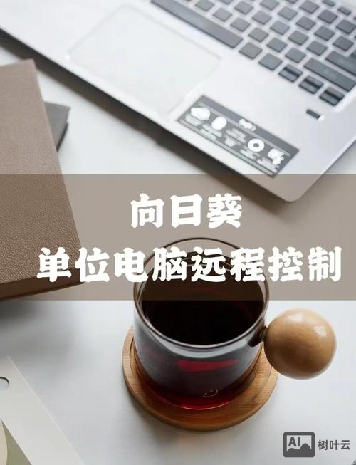 如何设置远程虚拟主机