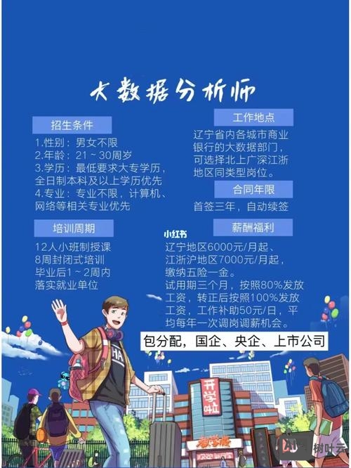 网站数据分析师招聘