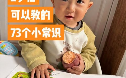 老外如何轻松教2岁小孩?