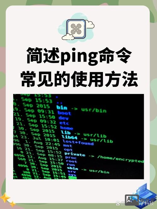 ping命令执行过程