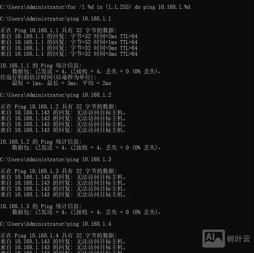 ping命令的功能