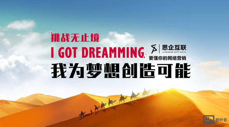 福建思企网络推广如何