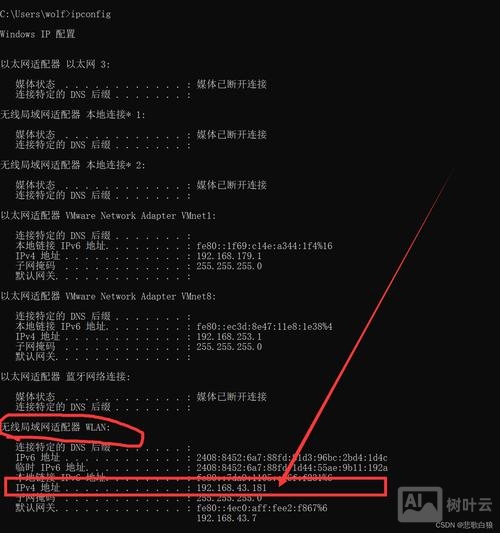 cmd命令显示中文