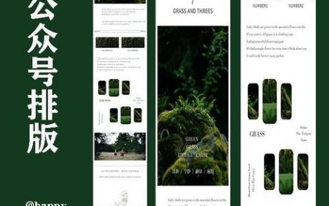 网站排版设计，如何提升阅读体验与转化率？