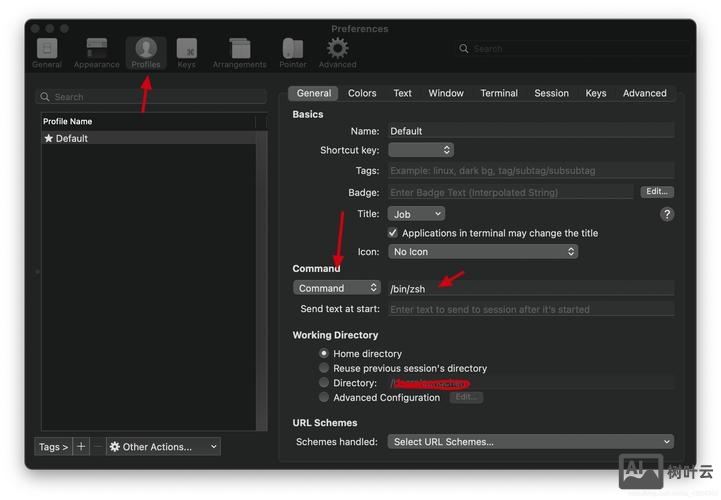 生存之旅2 命令