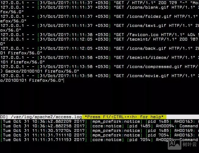 crt查看日志命令