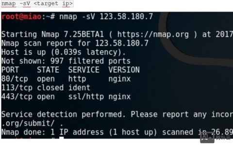 nmap端口扫描命令有哪些常用参数？