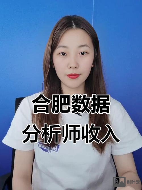 合肥数据分析师招聘