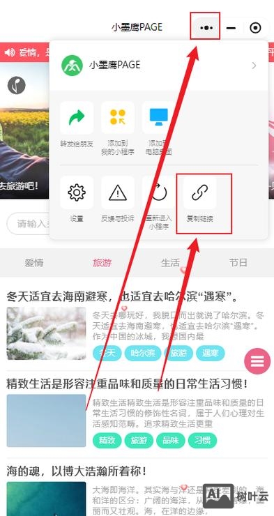 网站出站链接如何查看