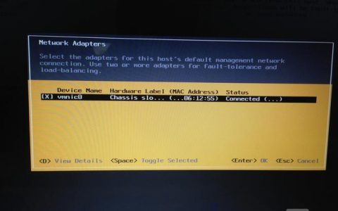 ESXi 5.5命令有哪些常用操作？