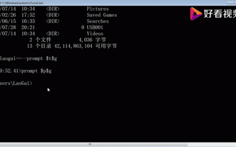 Delphi如何执行DOS命令并获取返回结果？
