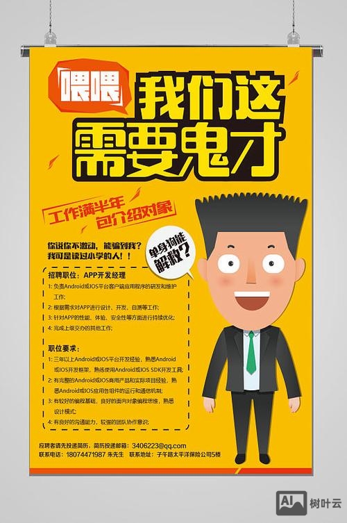 多媒体开发工程师招聘