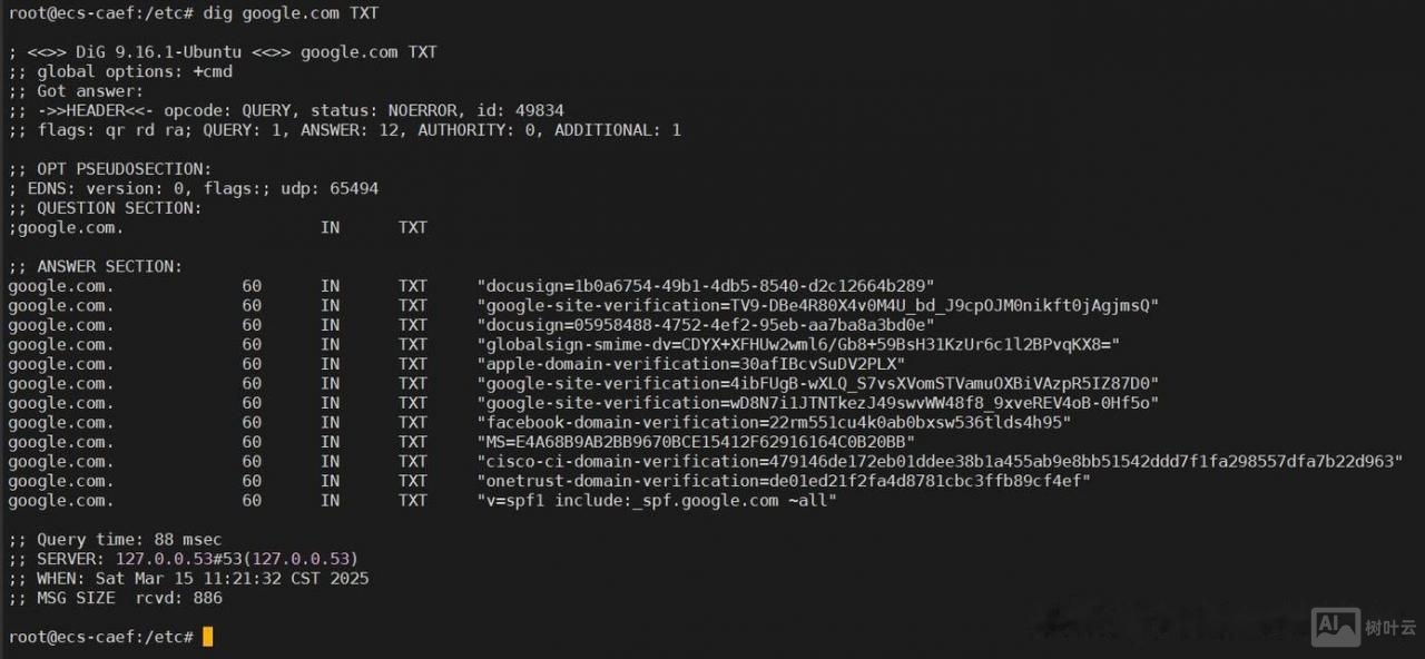 linux 查询dns 命令