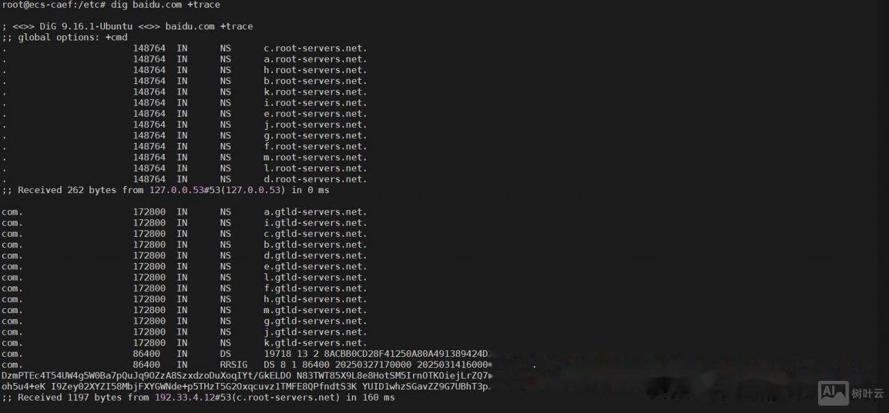 linux 查询dns 命令