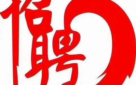 飞路巴士招聘驾驶员,有何要求?