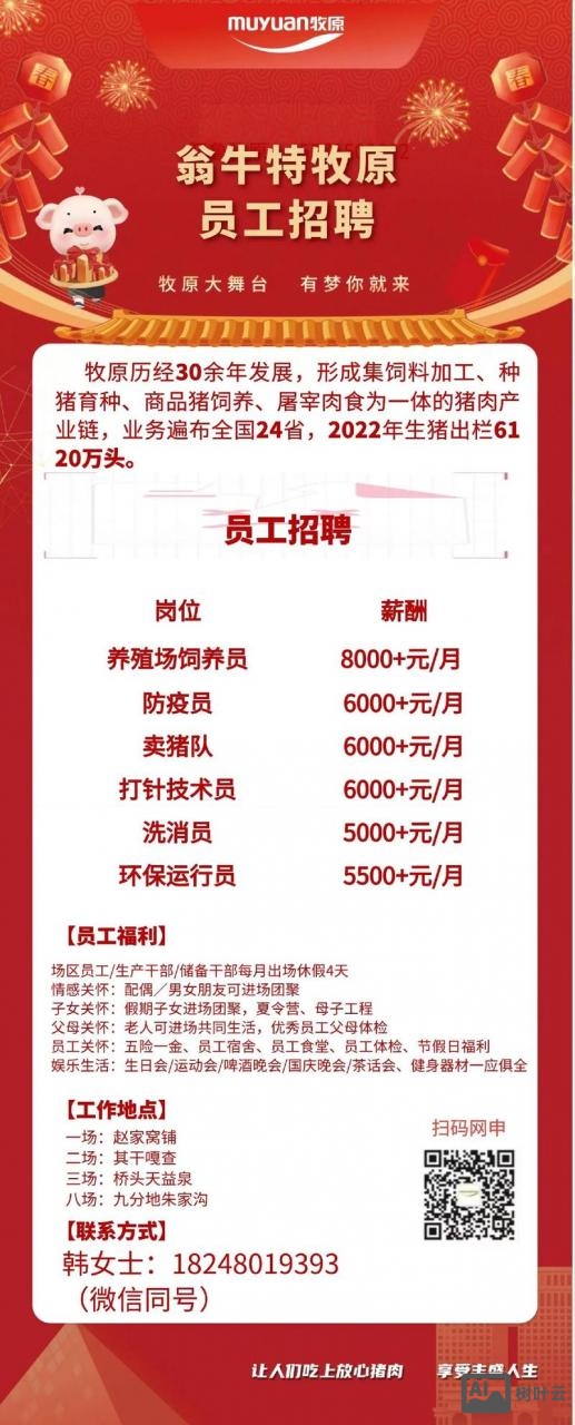 牛团365招聘信息