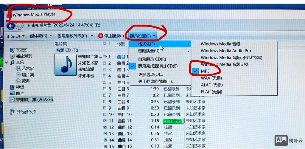如何使用cd命令