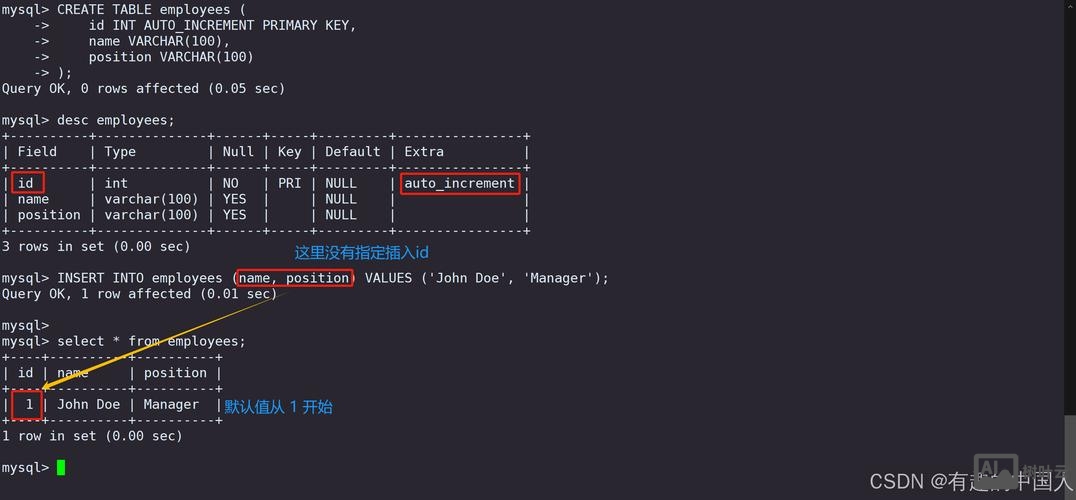 java 调用mysql命令