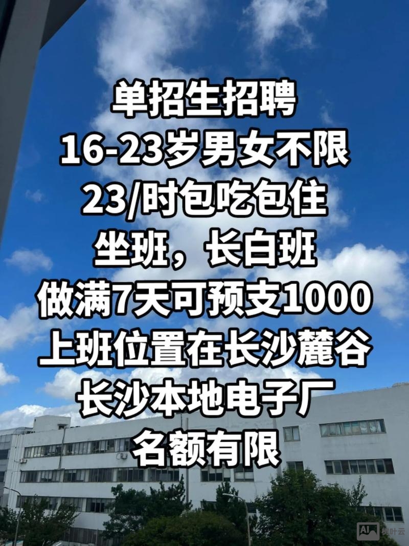 程工数码有限公司招聘