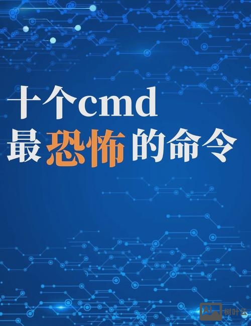 cmd 不能识别命令