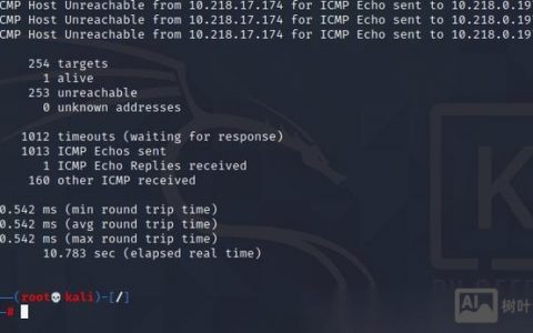 nmap不是内部命令怎么办？