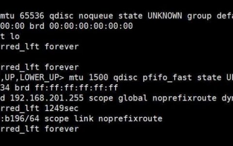 命令中如何查看ip?